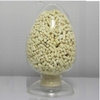 深耕生物化工，創新驅動未來——XX公司簡介