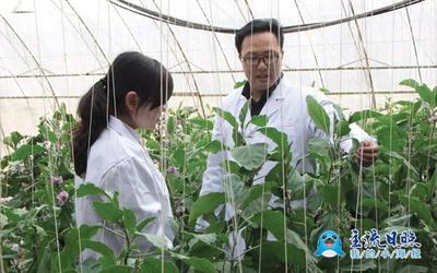 大學生創業之星 | 安仲濤 以科技療愈受傷的土地